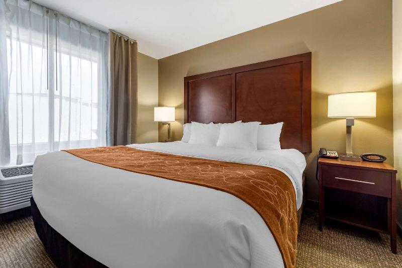 King Suite with Sofa Bed - Disability Access/Non-Smoking image 3