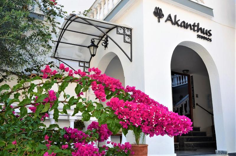 AKANTHUS STUDIOS - Ex Vergos Pavlos - image 25