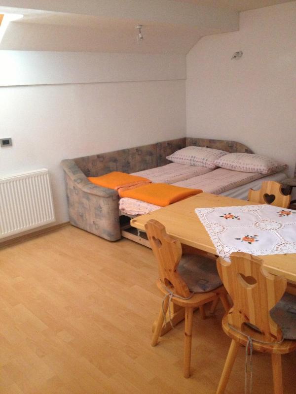 One-Bedroom Apartment (5 Adults) image 4