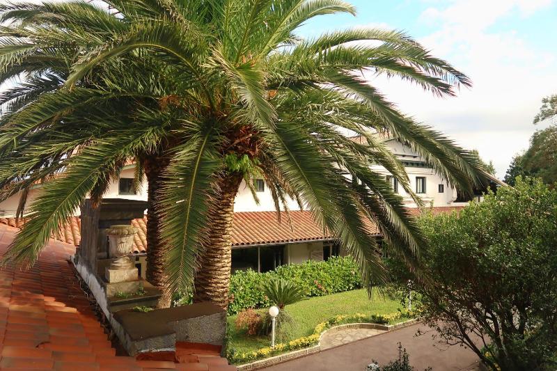 Special Offer - Twin Room with Garden View image 3