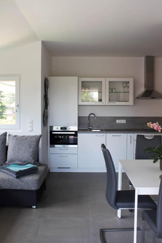 One-Bedroom Apartment image 3