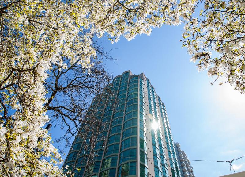 Rosedale On Robson Suite Hotel - image 1
