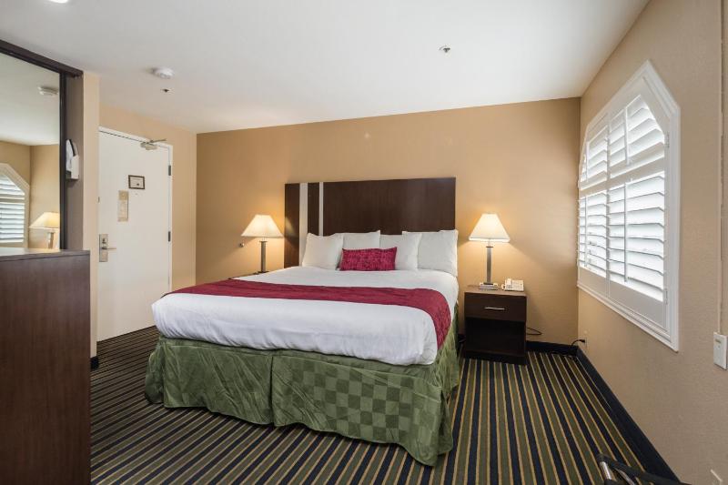King Room - Non-Smoking image 1