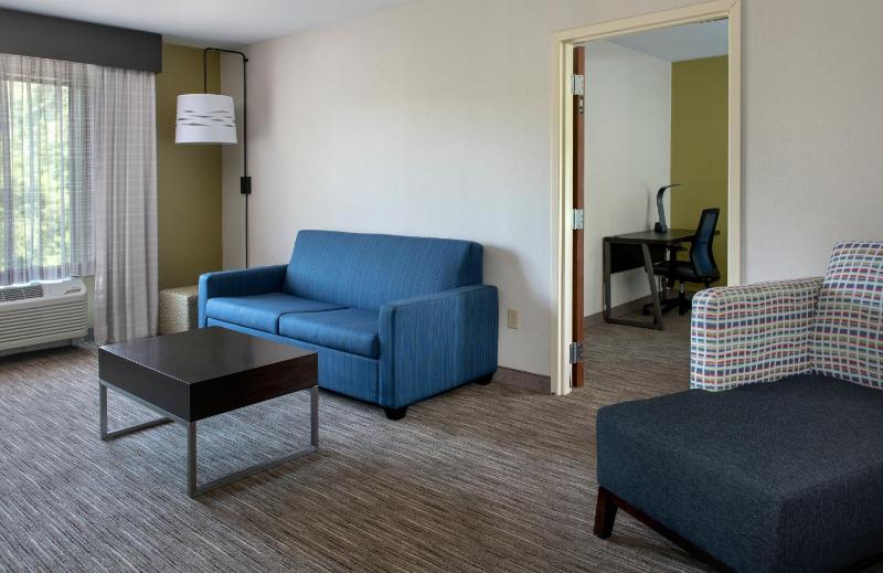 One-Bedroom King Suite with Sofa Bed image 4