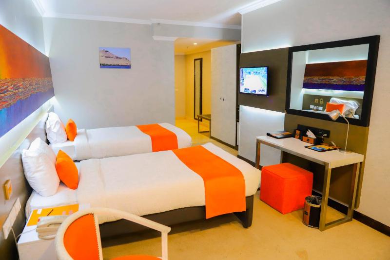 Aswan Plaza Hotel - image 3