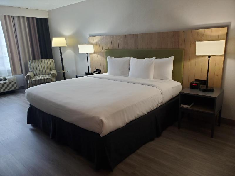 King Room - Non-Smoking image 3