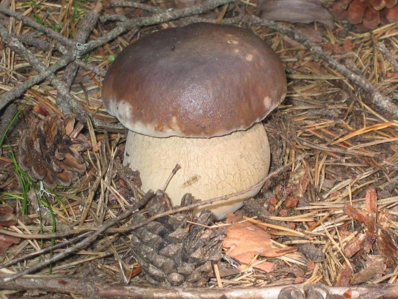 Holiday Home image 3