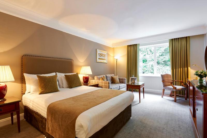 Deluxe Family Room image 1
