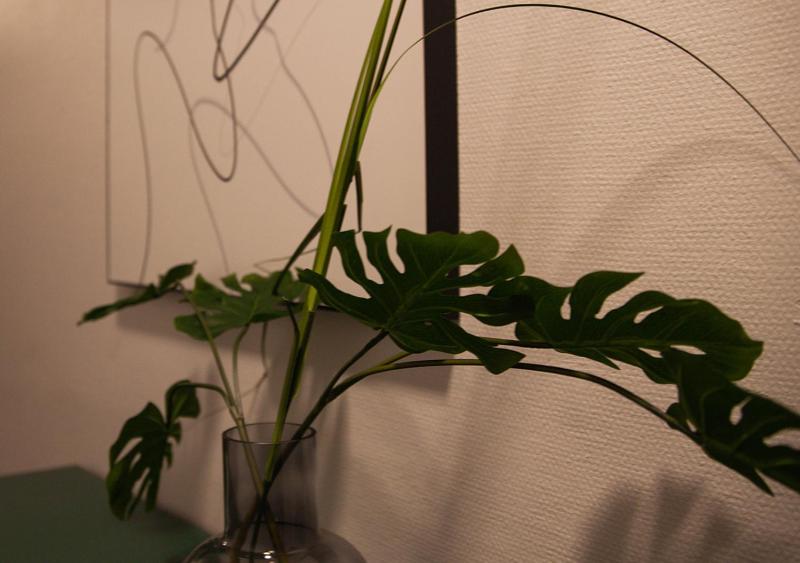 Single Room image 4