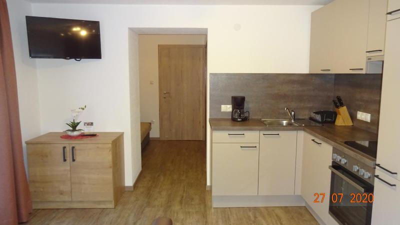 One-Bedroom Apartment image 4
