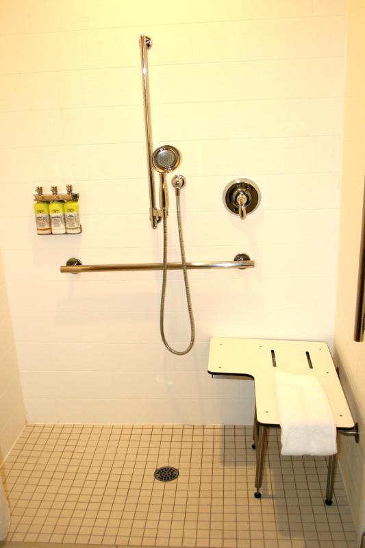 Standard King Room with Roll-In Shower - Communications Access image 1