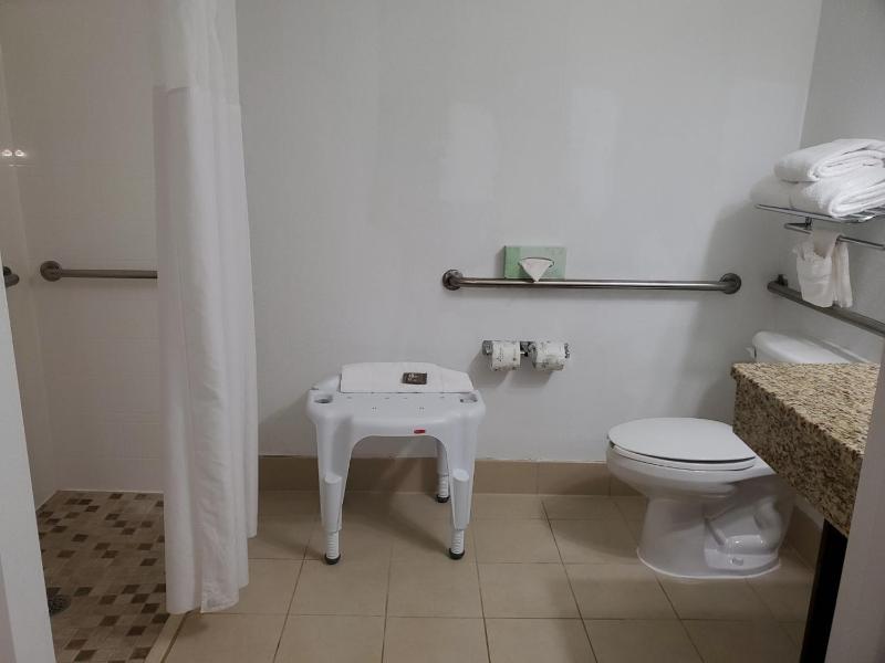 King Room with Roll In Shower - Disability Access/Non-Smoking image 4