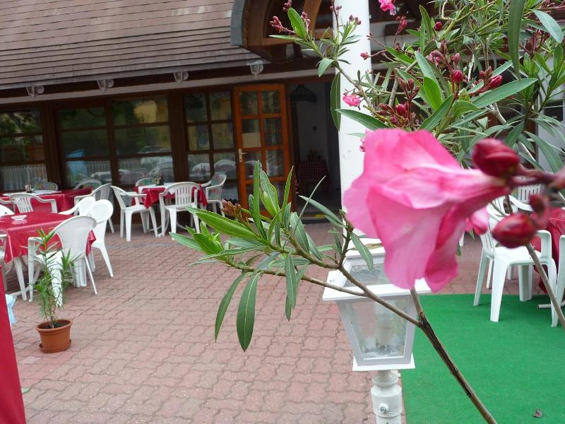 Oleander B&B - image 40