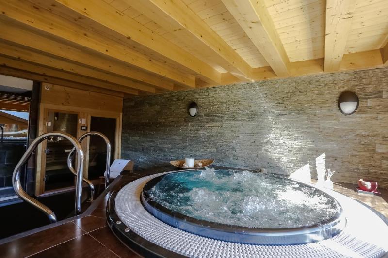 Chalet Vieux Bisse  image 2