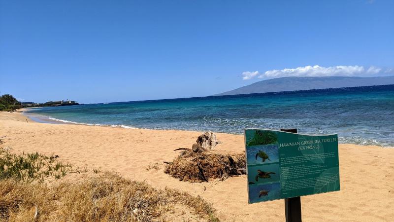 Honua Kai - Konea 643 - image 26