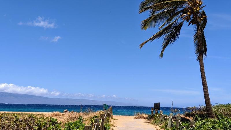 Honua Kai - Konea 643 - image 32
