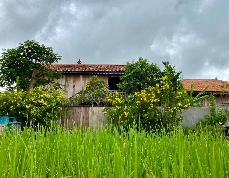 Dontrei Villa Angkor - image 9