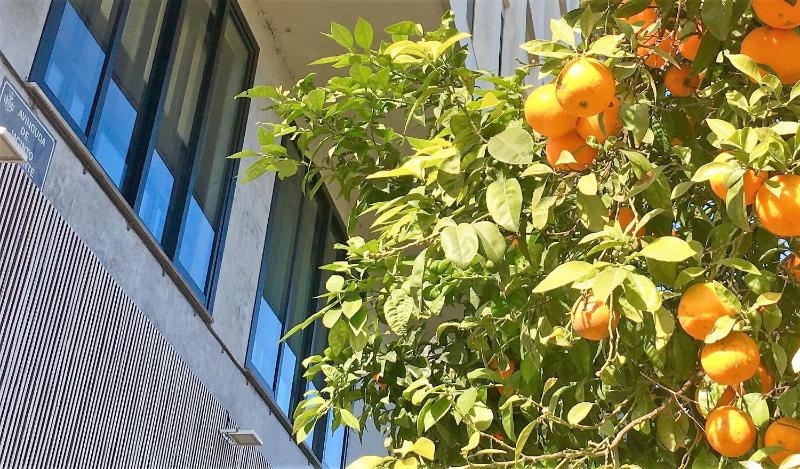 Superior Quadruple Room image 2