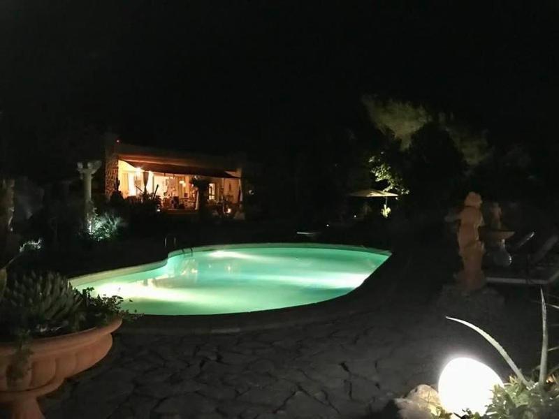 La cactée singulière - image 17