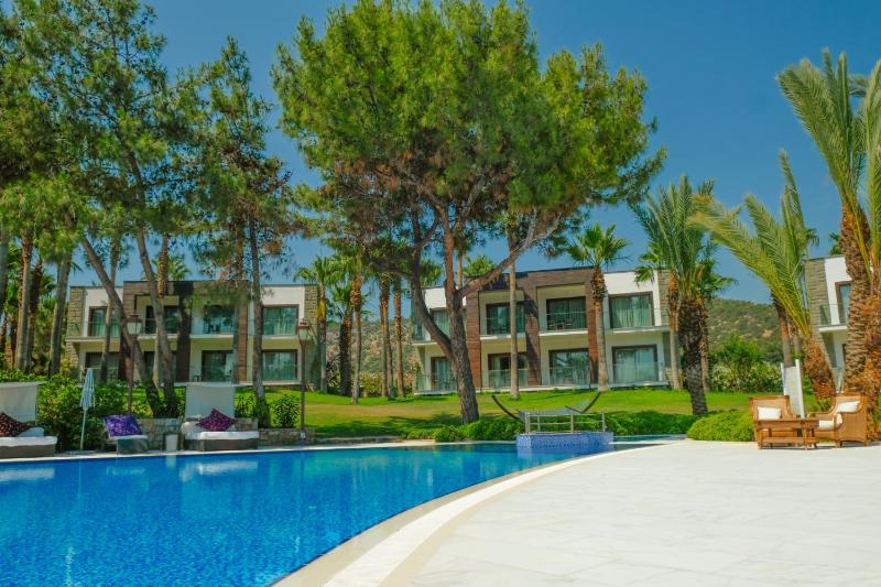 Palm Suite image 1