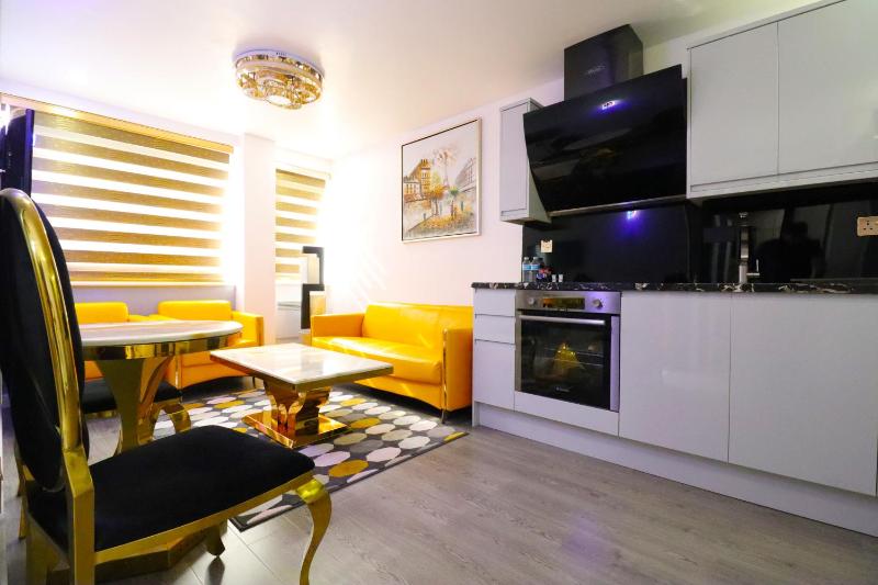 Large One-Bedroom Apartment image 3