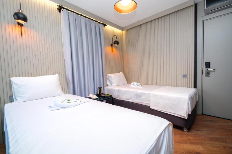 Deluxe Twin Room image 4