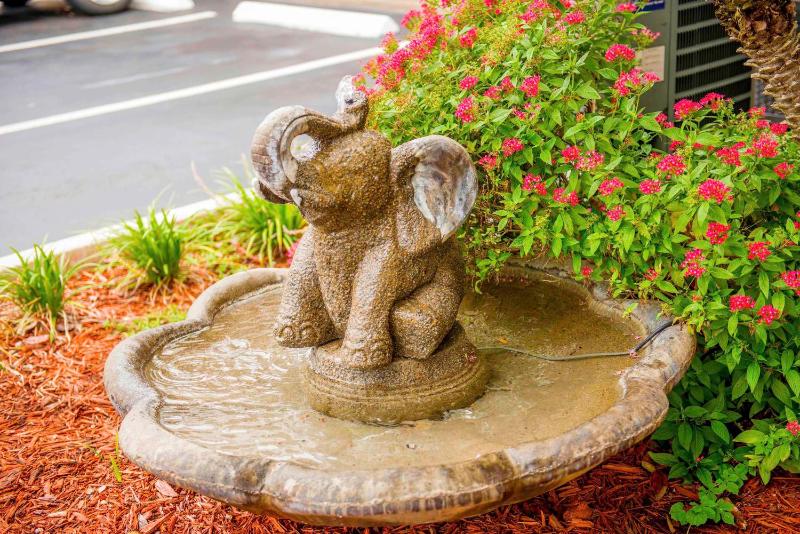 Hotel South Tampa & Suites - image 24