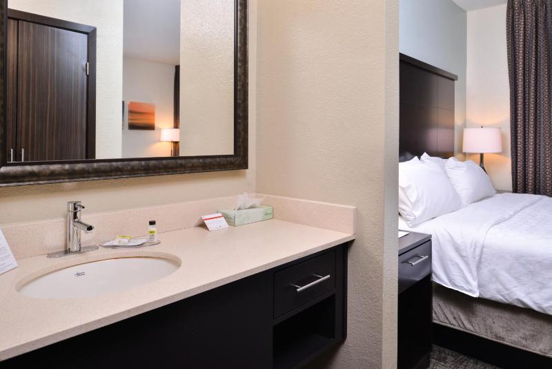 King Studio Suite image 2
