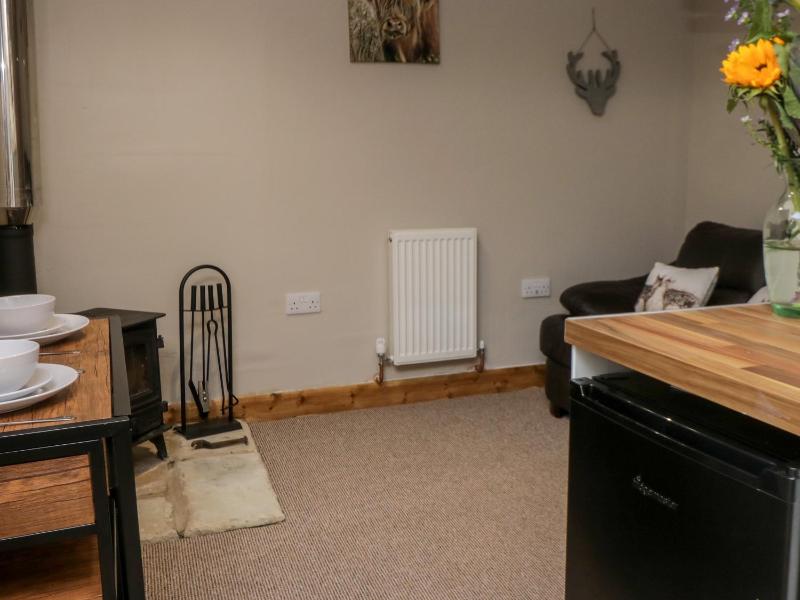 Wren - image 12