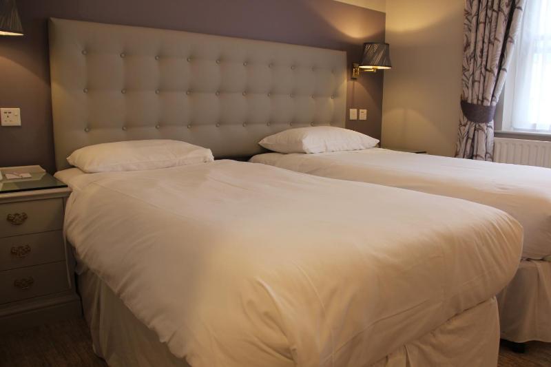 Deluxe Twin Room image 4