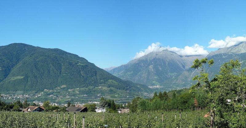 Double Room with Balcony image 4