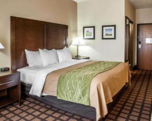 Room #48993806 image 3