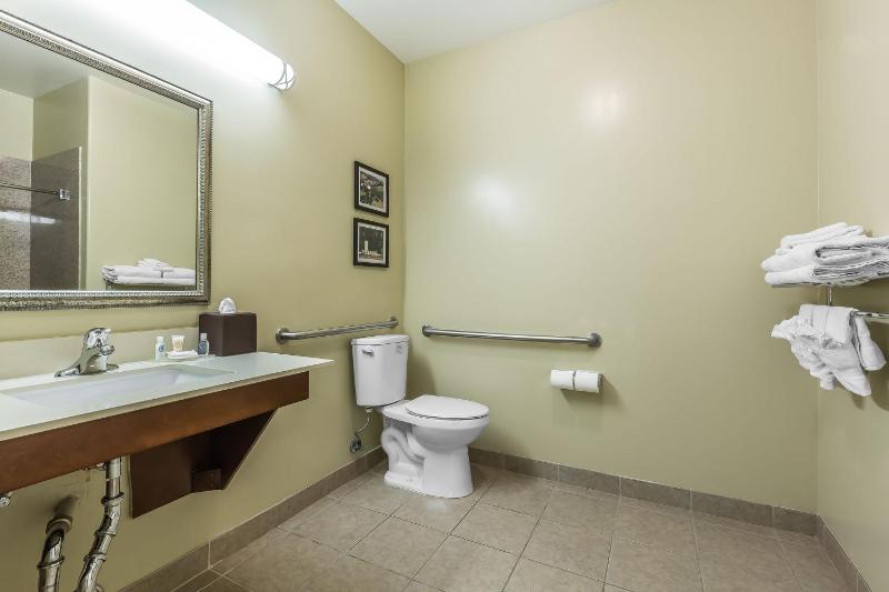 King Room with Tub  - Accessible/Non-Smoking image 1