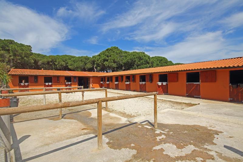 Quinta da Bicuda - image 12