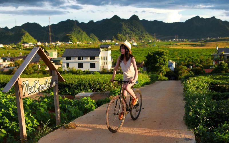 Moc Chau Cottage homestay - image 26
