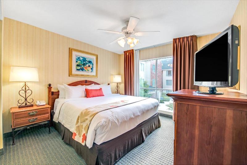 One-Bedroom Suite with 1 King Bed, Non-Smoking  image 3