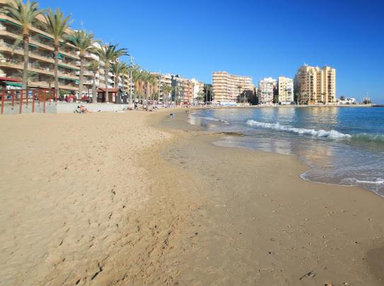 Aparthotel Costa Blanca - image 15