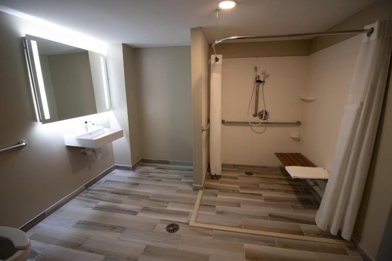 King Room - Hearing Accessible - Roll-in Shower image 1