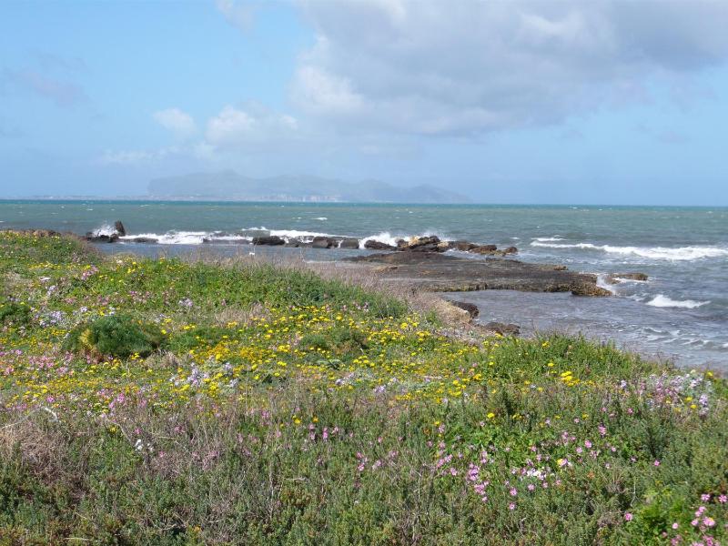 Laguna dei Fenici - image 3