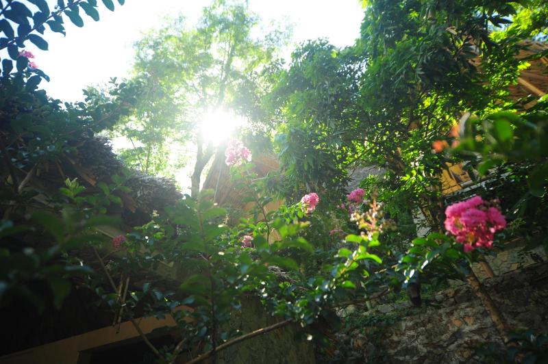 Moc Chau Retreat - image 12