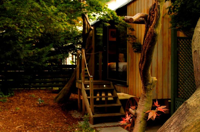 Dog Friendly Shepherd's Hut image 1