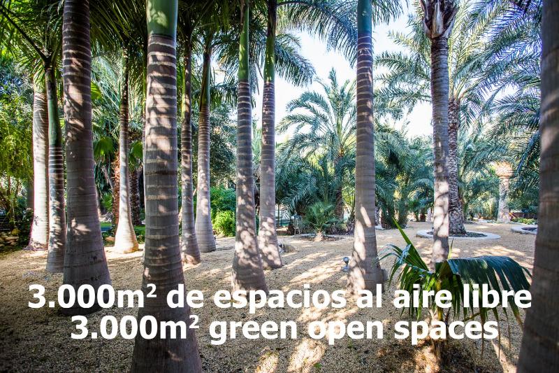 Apartamentos El Palmeral de Madaria - image 31
