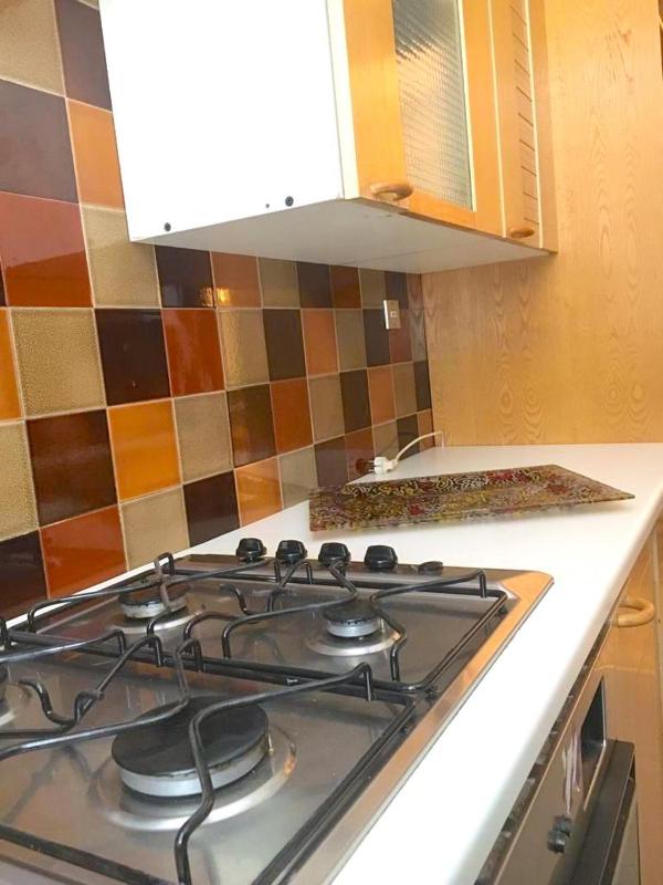 One-Bedroom Apartment image 4