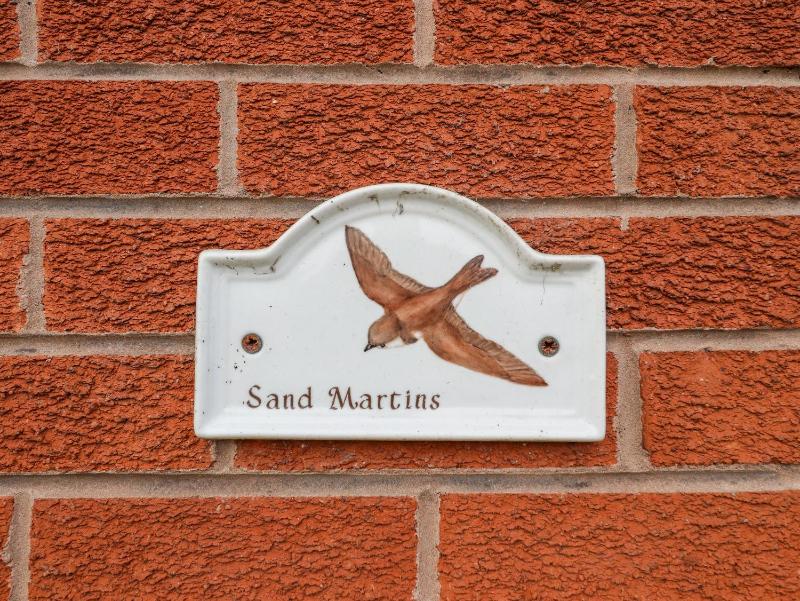 Sandmartins - image 19