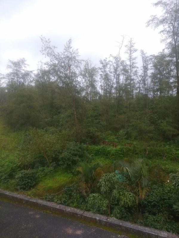 Coorg West End Home Stay - image 18