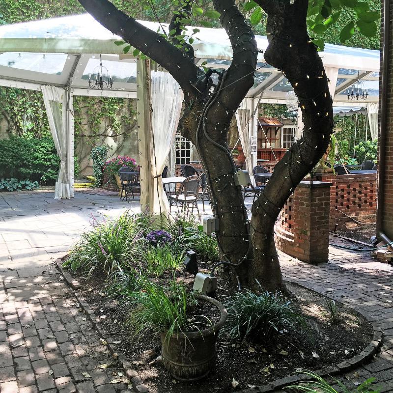 Morris House Hotel - Bed And Breakfast - image 12