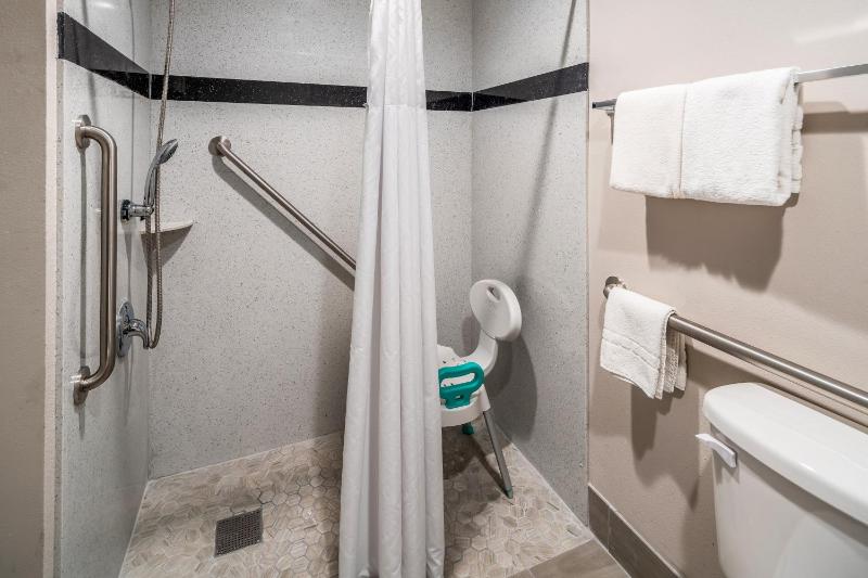 Deluxe Queen Room- Disability Accessible/Roll-In Shower Smoke Free  image 2