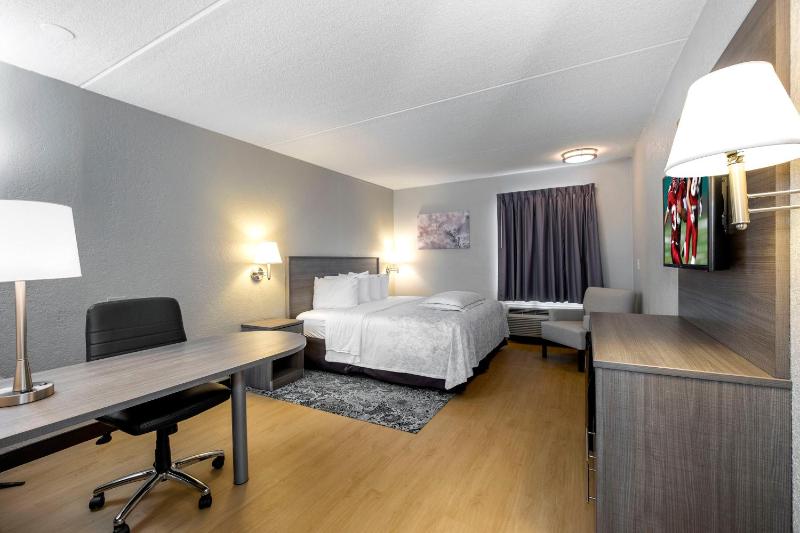 Premium King Room Smoke Free (Upgraded Bedding and Snack Box)