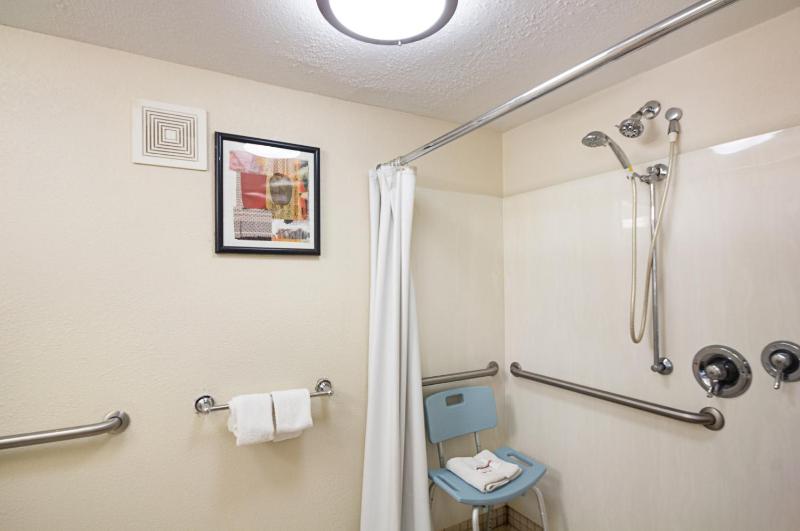 Superior King Room Disability Access Roll-In Shower Smoke Free image 2