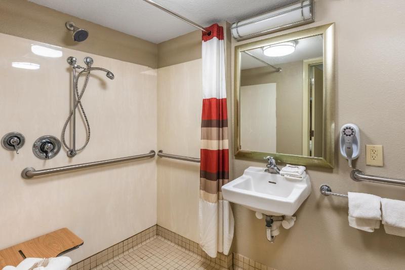 Superior King Room Disability Access Roll-In Shower Smoke Free image 2